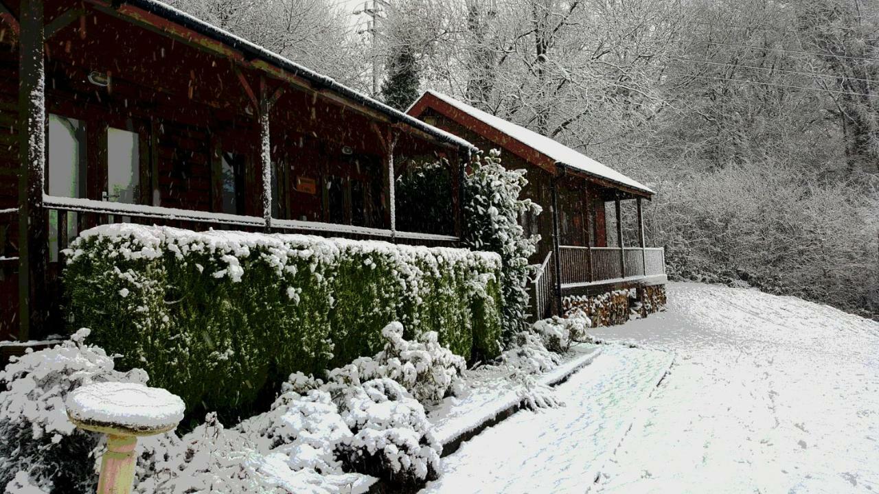 Ironbridge Lodge Lodge *